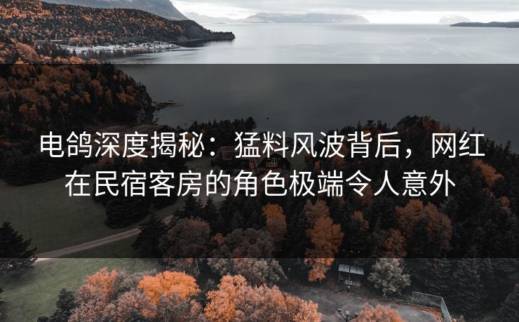 电鸽深度揭秘：猛料风波背后，网红在民宿客房的角色极端令人意外