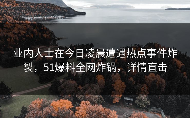 业内人士在今日凌晨遭遇热点事件炸裂，51爆料全网炸锅，详情直击