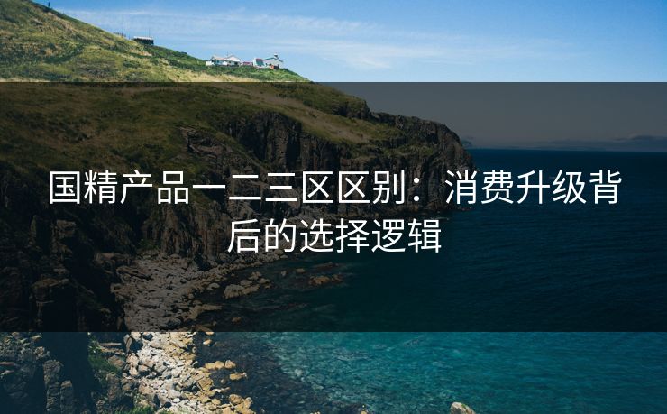 国精产品一二三区区别：消费升级背后的选择逻辑