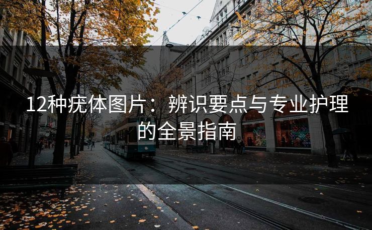 12种疣体图片：辨识要点与专业护理的全景指南