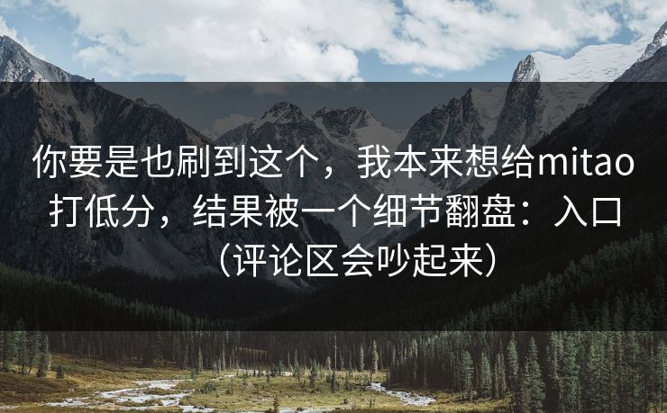 你要是也刷到这个，我本来想给mitao打低分，结果被一个细节翻盘：入口（评论区会吵起来）